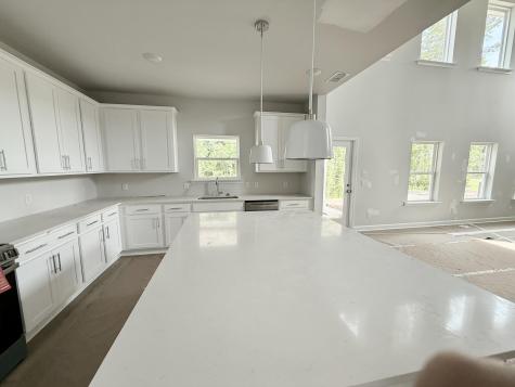 5373 Crinum Lilly Summerville SC 29485
