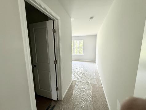 5373 Crinum Lilly Summerville SC 29485