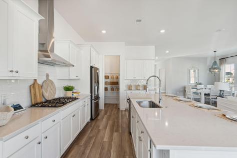 1033 Adirondack Drive Summerville SC 29485