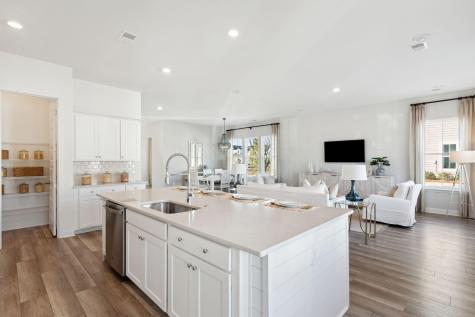 1033 Adirondack Drive Summerville SC 29485