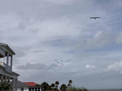 1904 Palmetto Boulevard Edisto Island SC 29438