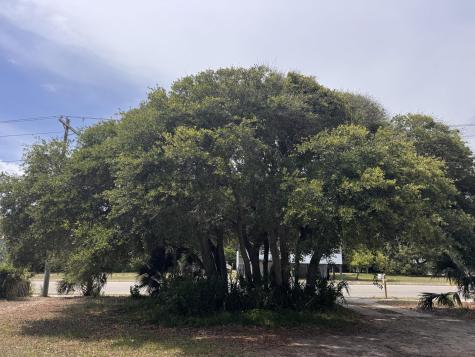 1904 Palmetto Boulevard Edisto Island SC 29438