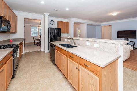 129 Salt Meadow Lane Summerville SC 29483