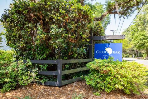 639 Cloudbreak Court Charleston SC 29412