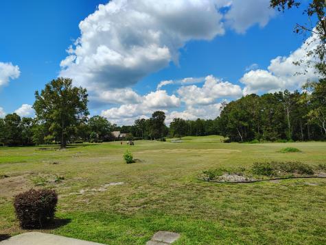29 Lake Arbu Drive Manning SC 29102