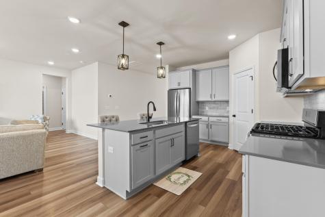 313 Lucca Drive Summerville SC 29486
