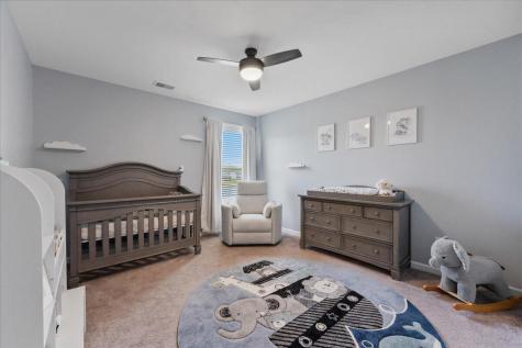 260 Dunlin Drive Summerville SC 29486