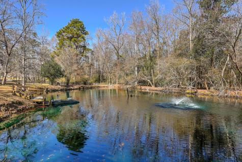 148 Patrick Lane Summerville SC 29483
