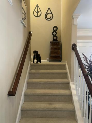 9006 Parlor Drive Ladson SC 29456