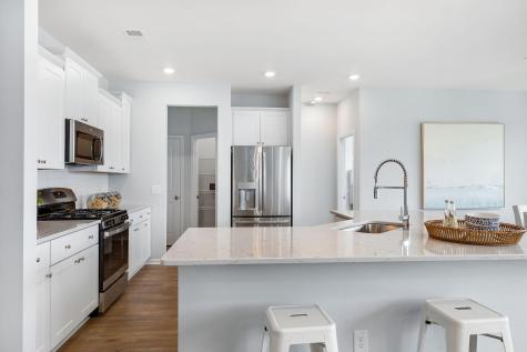 1074 Red Turnstone Run Summerville SC 29485