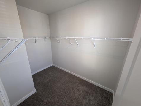 1005 Swamp Harrier Avenue Ravenel SC 29470