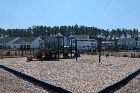 1005 Swamp Harrier Avenue Ravenel SC 29470