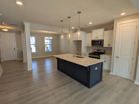 1005 Swamp Harrier Avenue Ravenel SC 29470