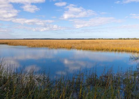 2393 Folly Road Folly Beach SC 29439