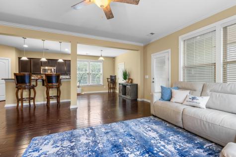 167 Lotz Drive Summerville SC 29483
