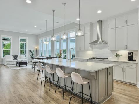 2290 Braided Lane Mount Pleasant SC 29466