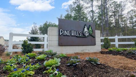 320 Bear Paw Lane Summerville SC 29486