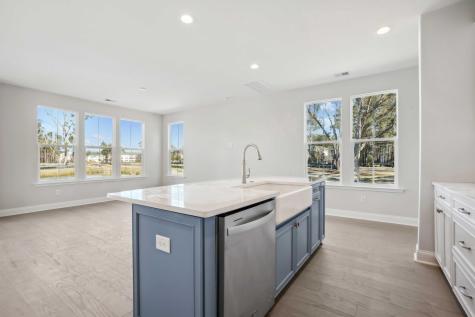185 Claret Cup Way Charleston SC 29414