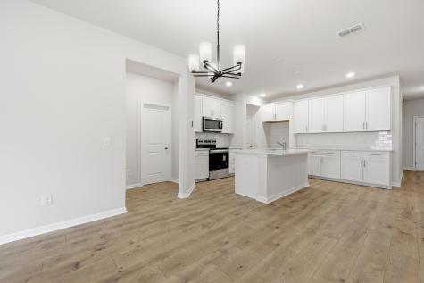 224 Twinleaf Court Charleston SC 29414