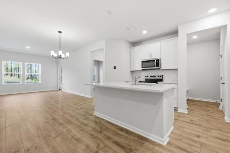 224 Twinleaf Court Charleston SC 29414