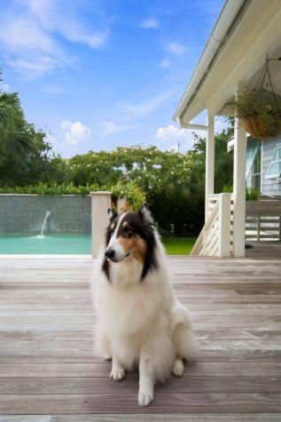 2672 Ion Avenue Sullivans Island SC 29482