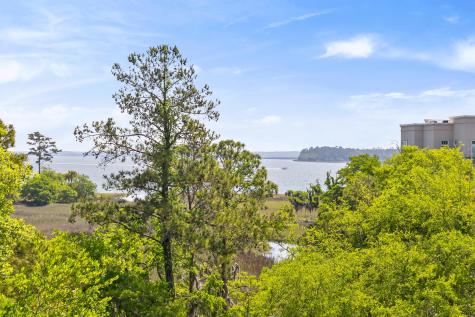136 Fairbanks Oak Alley Daniel Island SC 29492