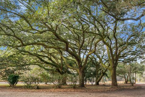 3206 Edenvale Road Johns Island SC 29455