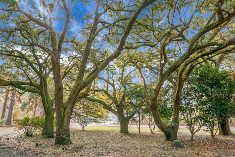 3206 Edenvale Road Johns Island SC 29455