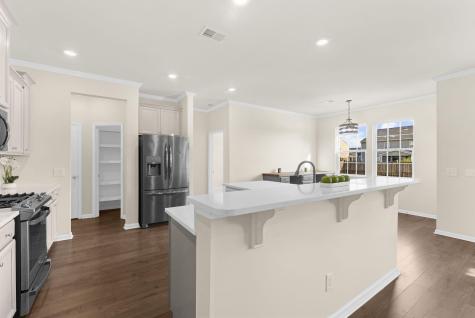 228 Firewheel Court Summerville SC 29486