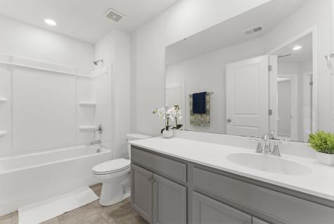 228 Firewheel Court Summerville SC 29486