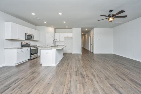 259 Firewheel Court Summerville SC 29486