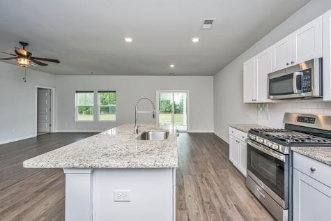 259 Firewheel Court Summerville SC 29486