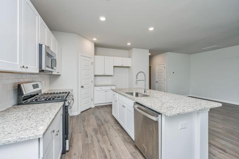 259 Firewheel Court Summerville SC 29486