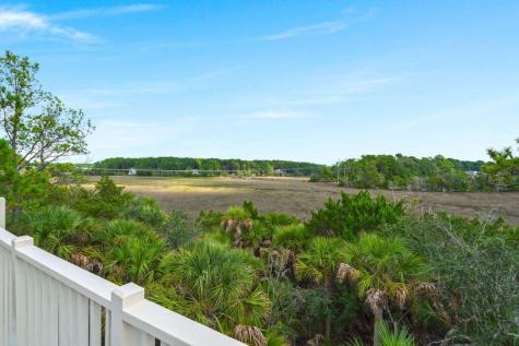 164 Palm Cove Way Mount Pleasant SC 29466