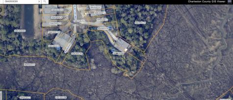 164 Palm Cove Way Mount Pleasant SC 29466