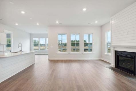 295 Denham Street Summerville SC 29486