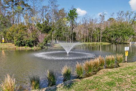 131 Hornby Circle Goose Creek SC 29445