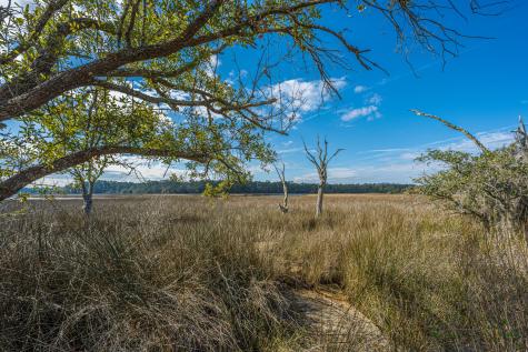 4107 Davison Road Ravenel SC 29470