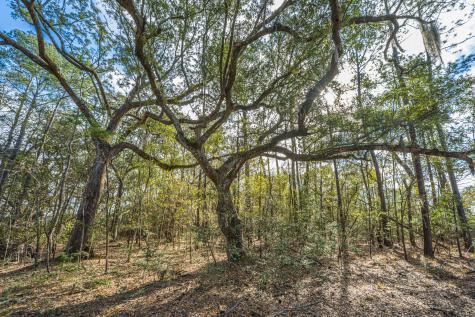 4107 Davison Road Ravenel SC 29470