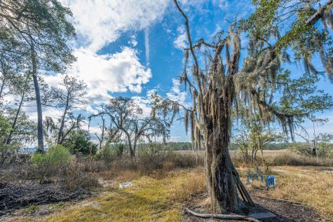 4107 Davison Road Ravenel SC 29470