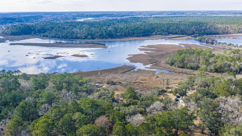 4107 Davison Road Ravenel SC 29470