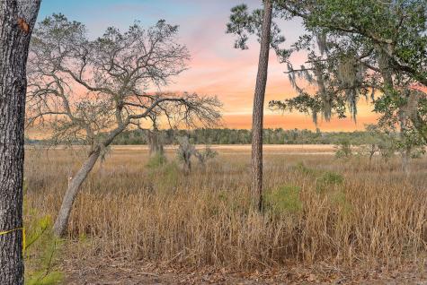 113 Silverbell Lane Ravenel SC 29470