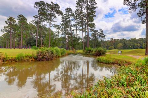 2509 Hummingbird Lane Summerville SC 29483