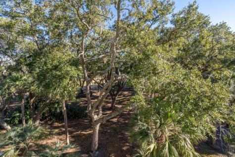 279 Driftwood Lane Edisto Beach SC 29438