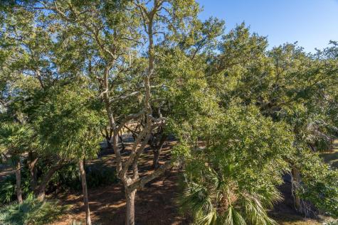 279 Driftwood Lane Edisto Beach SC 29438