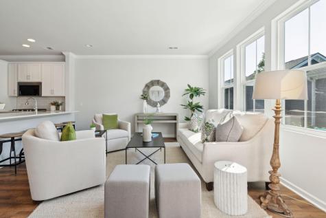 428 Swaying Pine Lane Summerville SC 29486