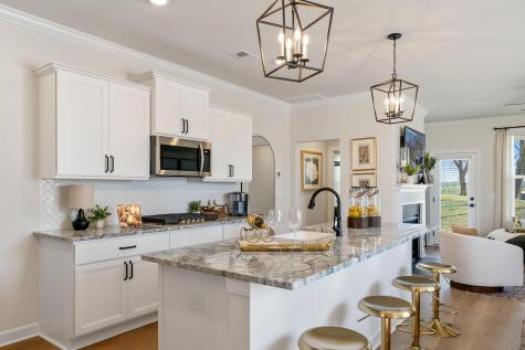 90 Crosswick Street Summerville SC 29483
