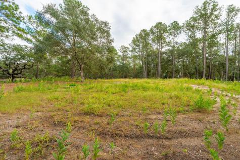 1420 Headquarters Plantation Drive Johns Island SC 29455