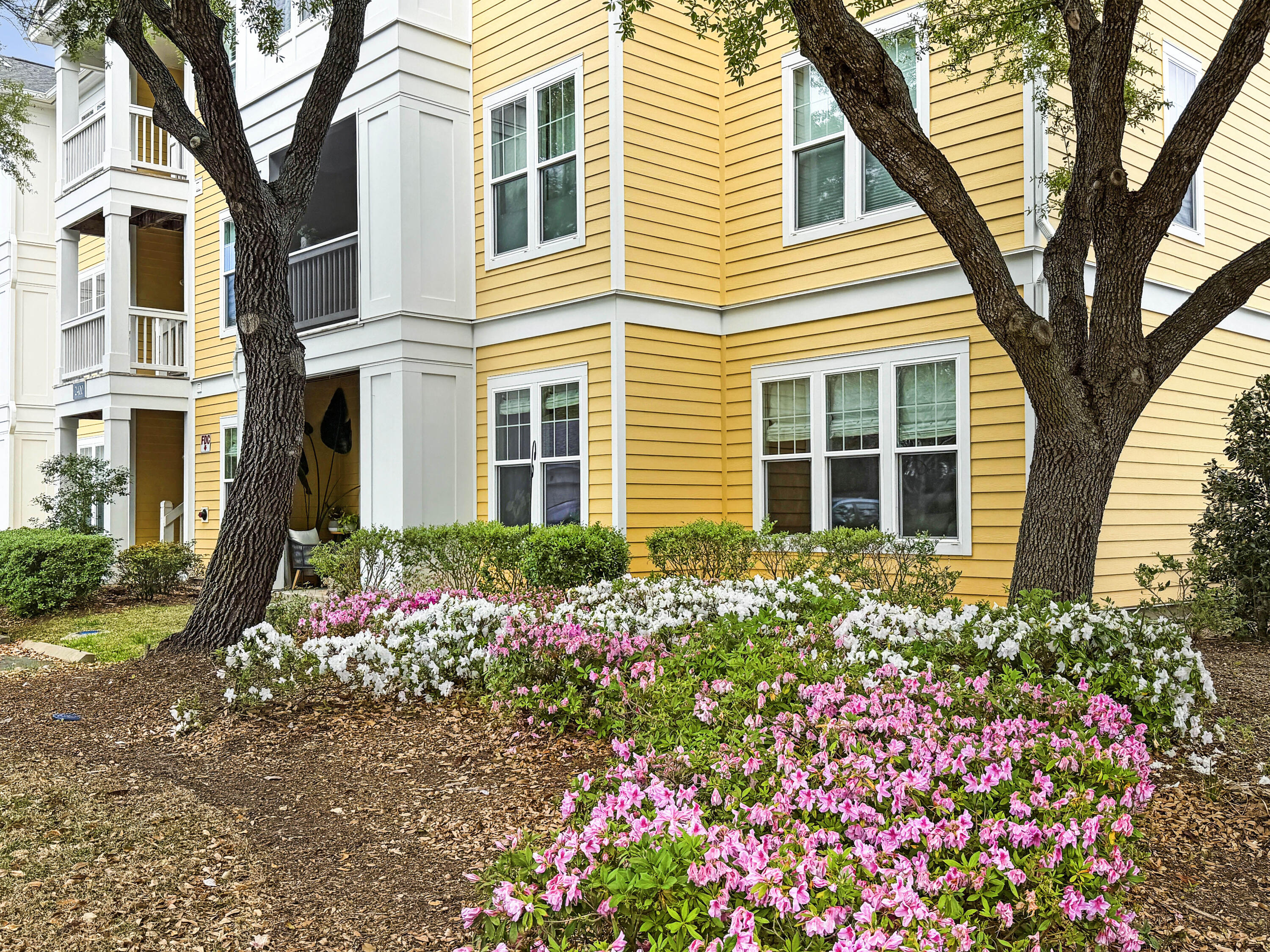 2432 Chatelain Way Mount Pleasant SC 29464