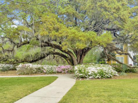 2432 Chatelain Way Mount Pleasant SC 29464